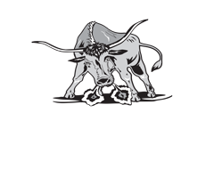 El Toro Leeuwarden