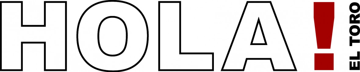 holo-logo